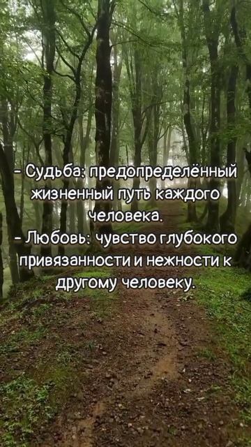 Видеооткрытка с цитатами