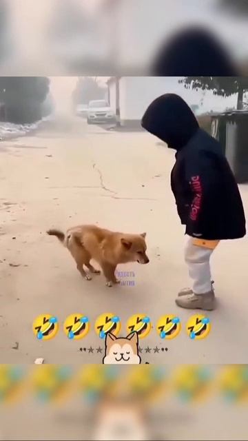 смешно