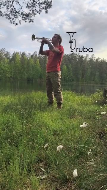 Труба на озере
