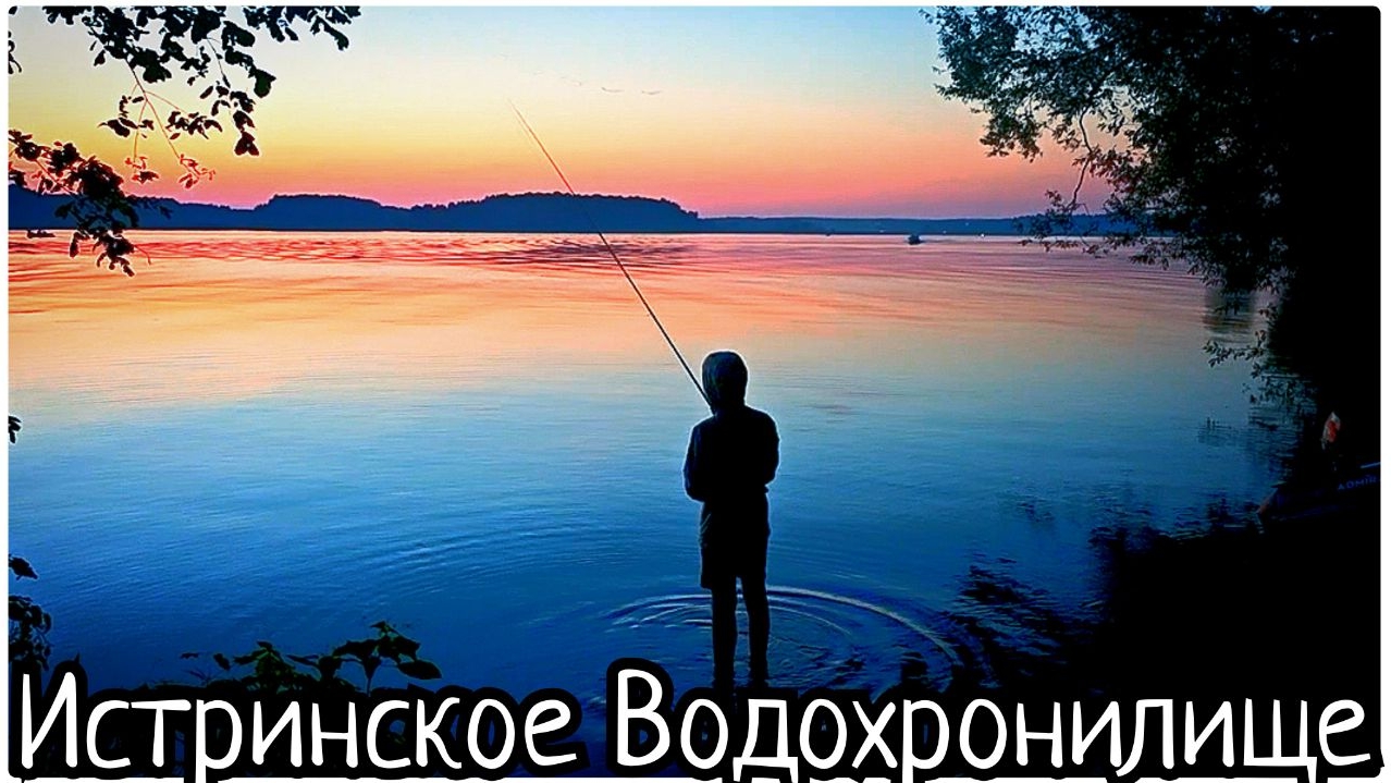 #145 🚗 СПИМ в машине 🌊 Истринское водохранилище 🌲 Ужин Костёр 🔥 #истра #синийтрактор #365 #рыбал