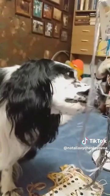 Рукодельник...)))
