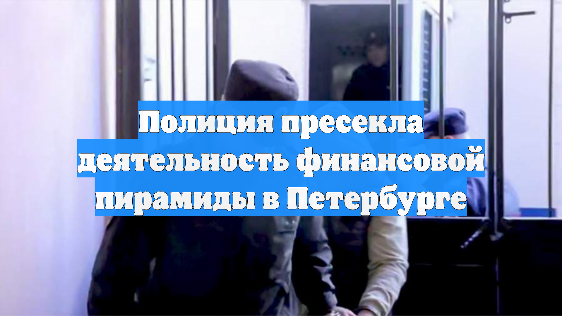 Полиция пресекла деятельность финансовой пирамиды в Петербурге