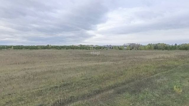 Участок Новокаменский.