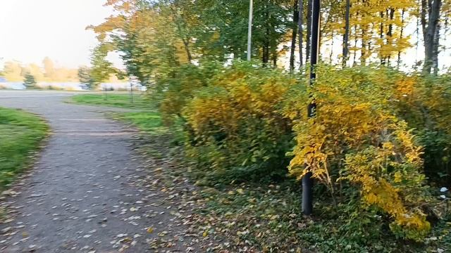 09-10-2025