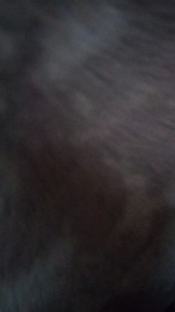 племяшка