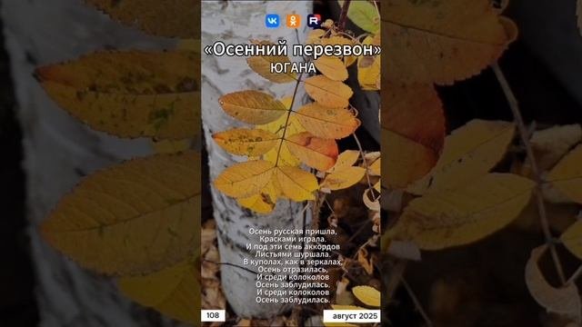 1000232271.mp4