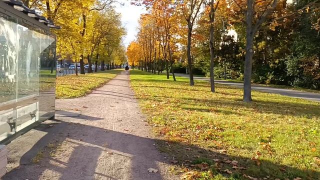 1000002247.mp4