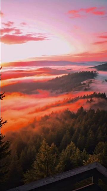 VID-20251006-WA0069