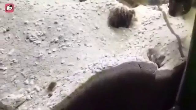 Оживлённая дискуссия!