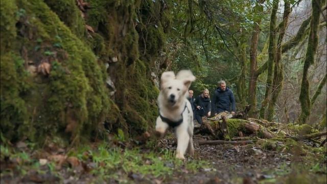 5 канал - Эльбрус (Россия) (2025)