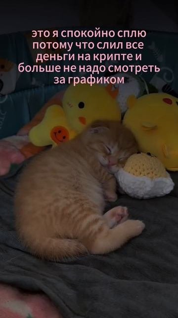 Трейдинг не должен быть таким когда нет сетапов не надо лезть коммьюнити в тгк frier tra