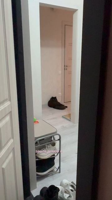 урааа влог