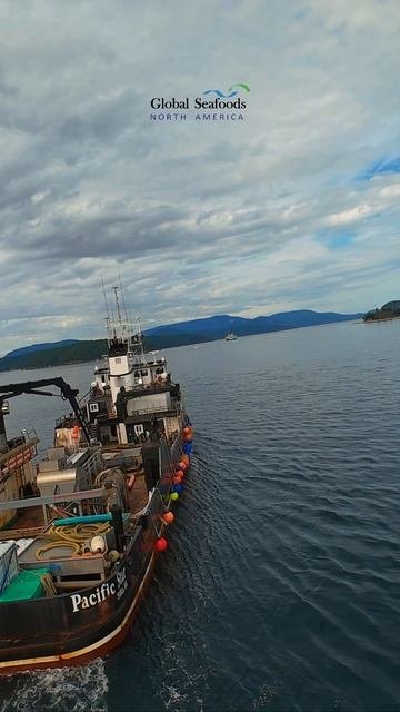 🚢 Судно-перегрузчик с лососем у острова Лопес | DJI Avata FPVПосмотрите, как трудолюбивое судно-п