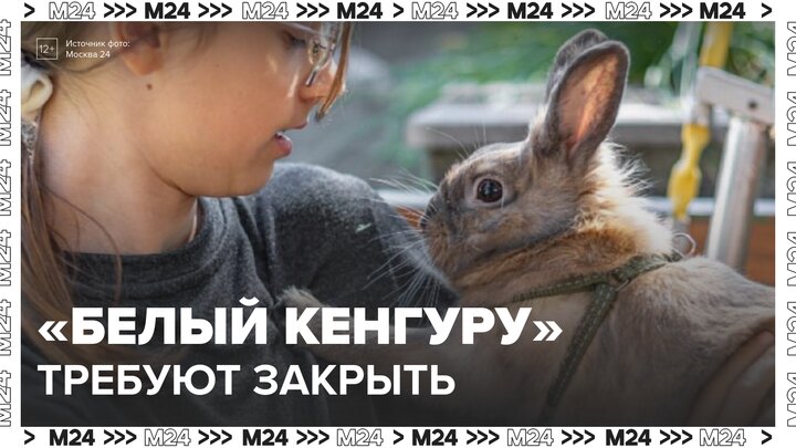 Прокуратура проверит частный контактный зоопарк в Кунцеве - Москва 24