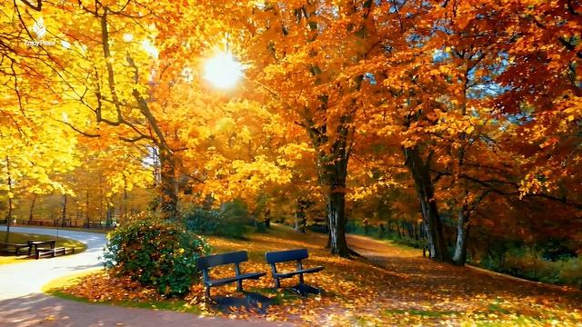 Красивая расслабляющая Музыка 🍁 Перестаньте Слишком Много Думать, Музыка для снятия стресса с Осенн