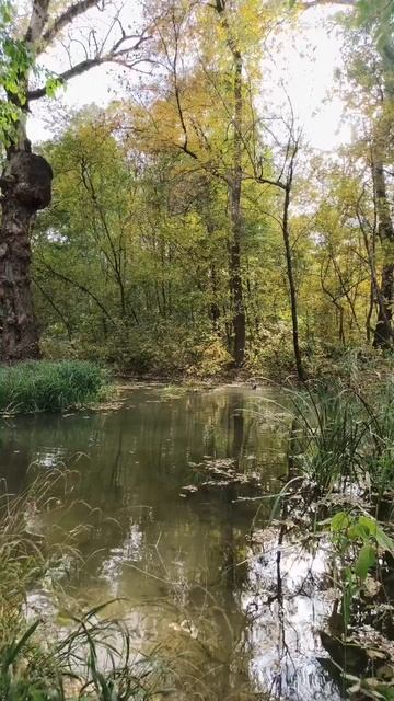09.10.2025 сегоднятак природа прырода табиғ 自然 natureza natura 자연 طبيعة परकत nature