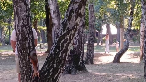 Паездка в парк (Солнечный Остров) обзор