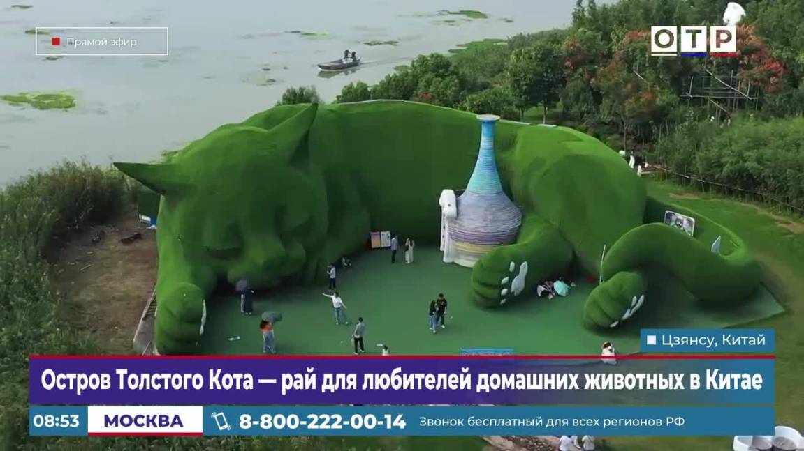 Остров Толстого Кота – рай для любителей домашних животных в Китае