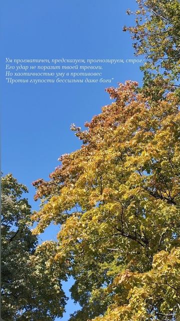 08.10.25 АЗ #ниднябезрифмы