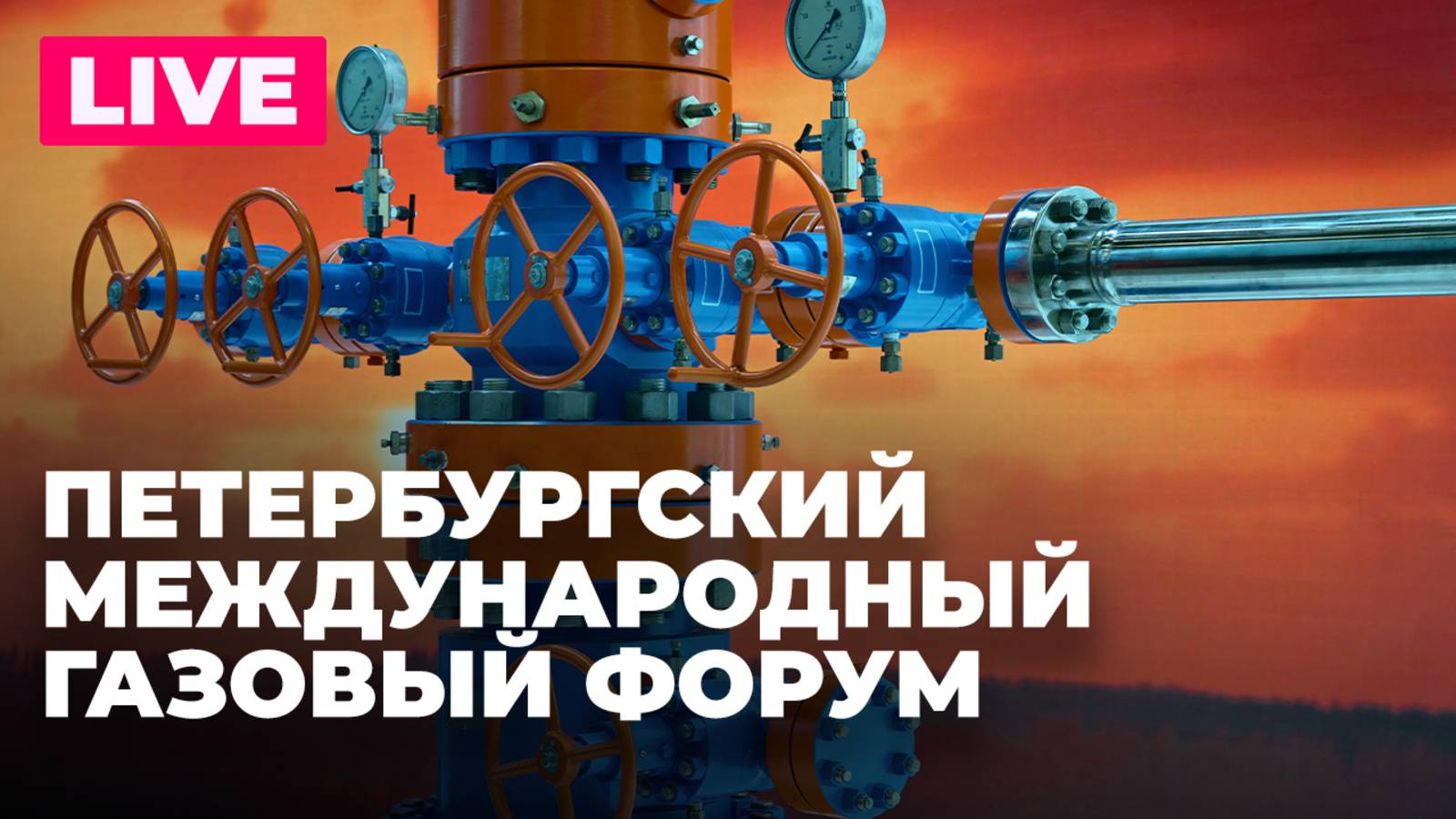 Цивилев участвует в пленарном заседании Петербургского международного газового форума