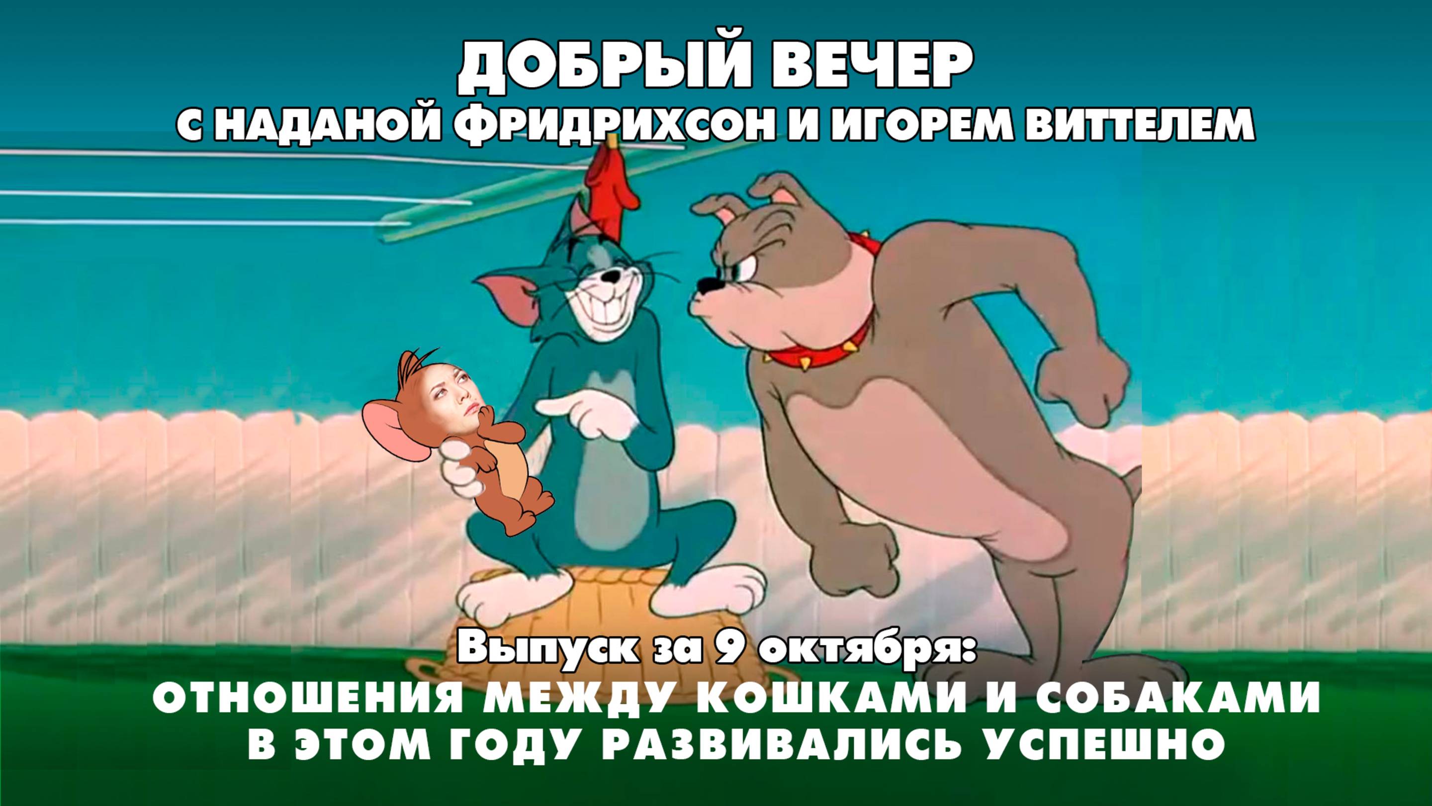 Отношения между кошками и собаками в этом году развивались успешно | 09.10.2025