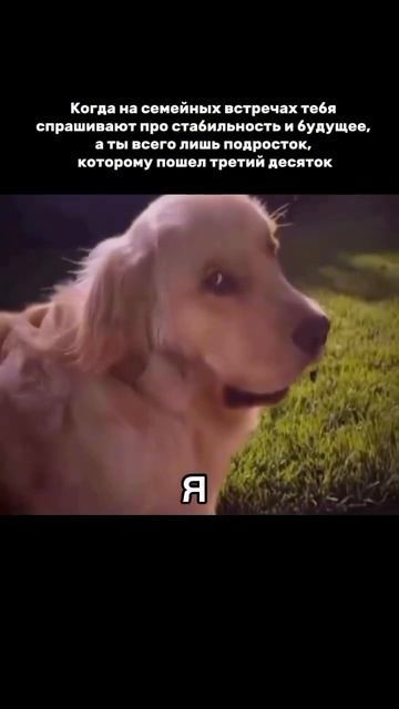 ну так оно ?)