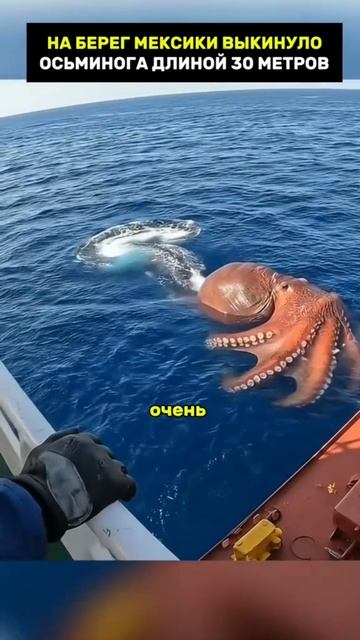 интересные истории