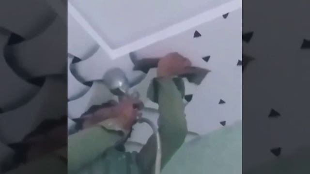 1000060146.mp4