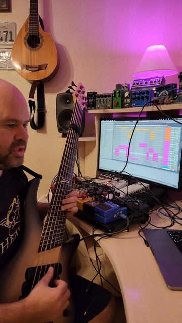 Дневник записи альбома МаксимовСокулер project. Пишу Dingwall ABZ через lo-fi тремоло эффект от Sou