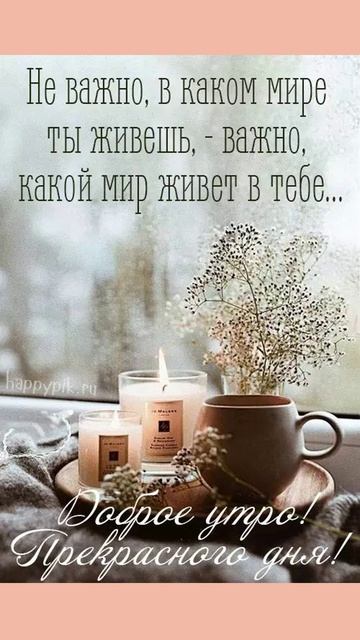 С добрым утром! Чудесного дня!   #ДоброеУтро #ХорошегоДня #НастроениеНаДень