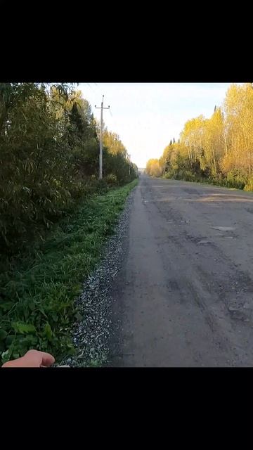«Тишина как топливо»