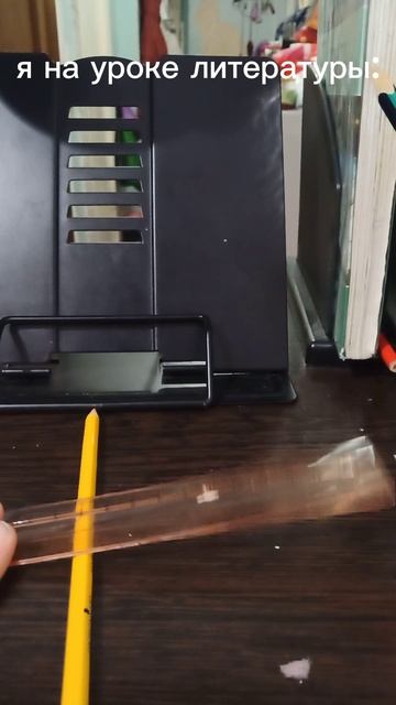 я на уроке литературы😅