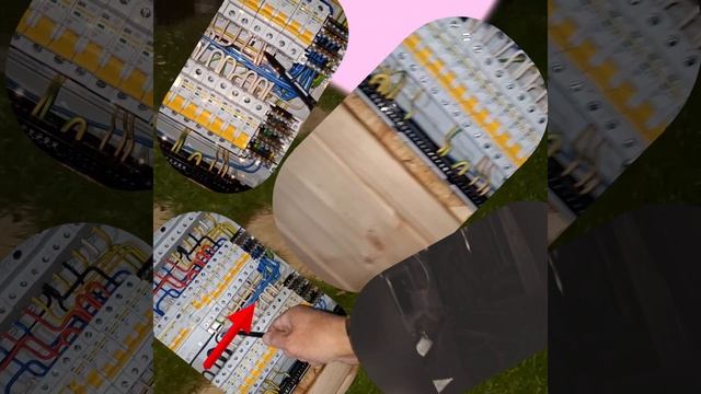 1000036793.mp4 (Собака смотрит на монтаж электропроводки (в э/щите) в доме А-фрейм)