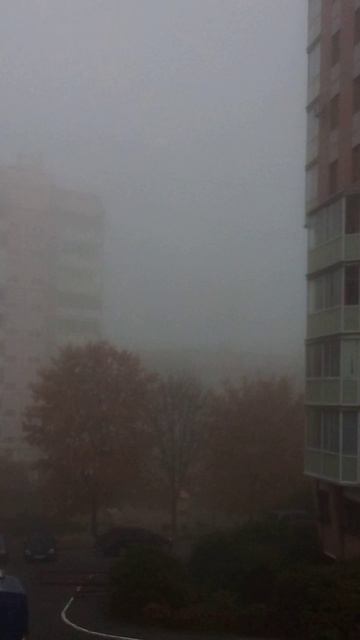 Это у нас сегодня такой туман был утром! (шум на фоне - это наши однакласники)
