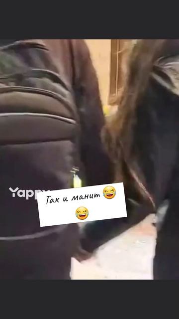 (#юмор)#funnyvideos, #challenge#fyp, #foryou, #foryoupage, #viral, #trending