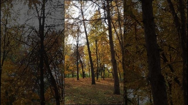 Золотая осень в парке.