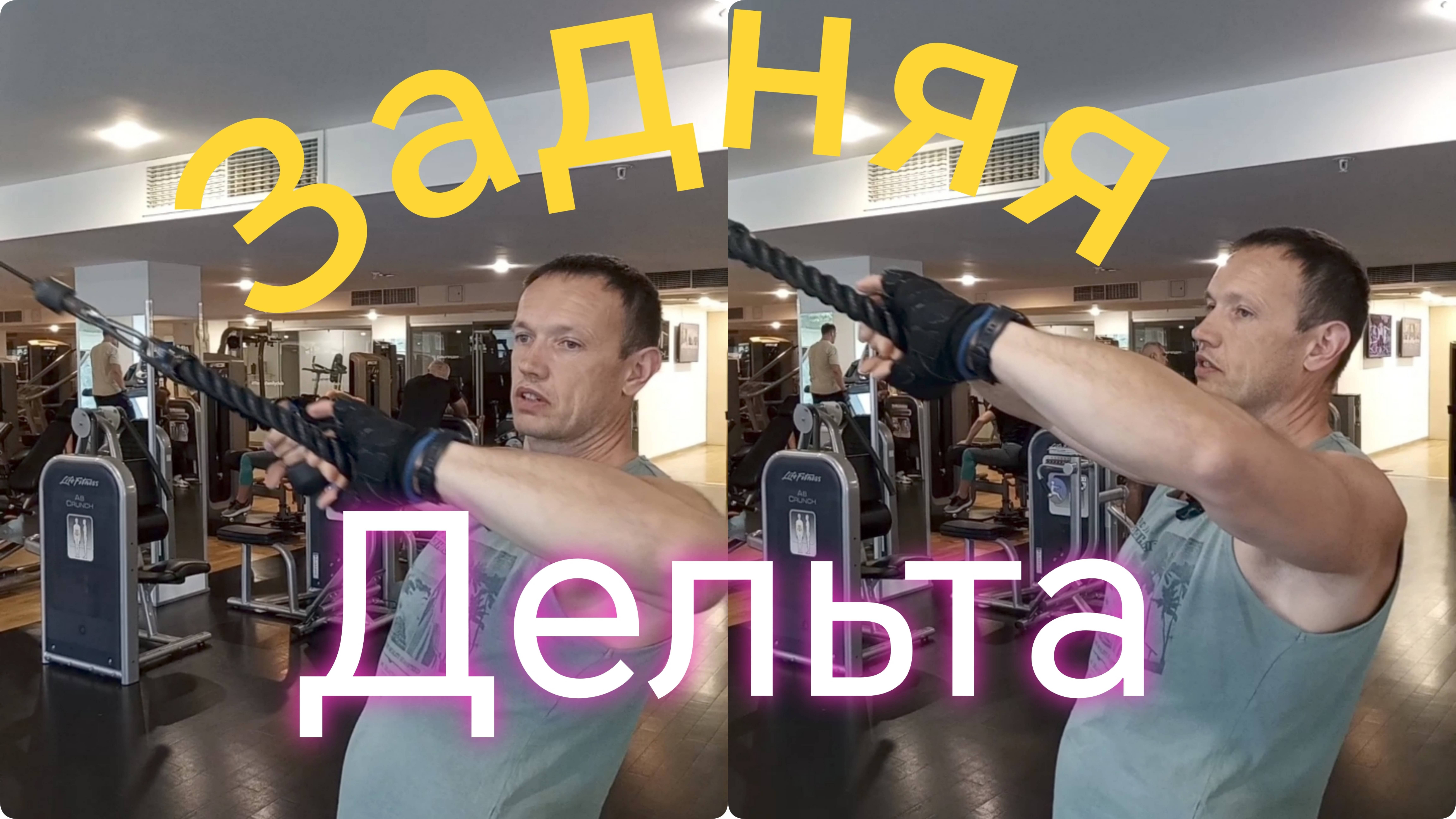 Плечи /// Задняя дельта /// Тяга в блоке с канатной рукоятью