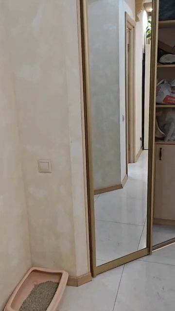 Гончарова 6/2