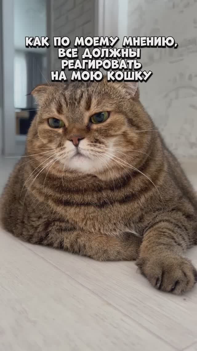 Ну красивая же?))🥹