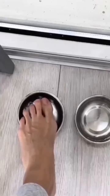 Ты что делаешь, кожаный? 😳