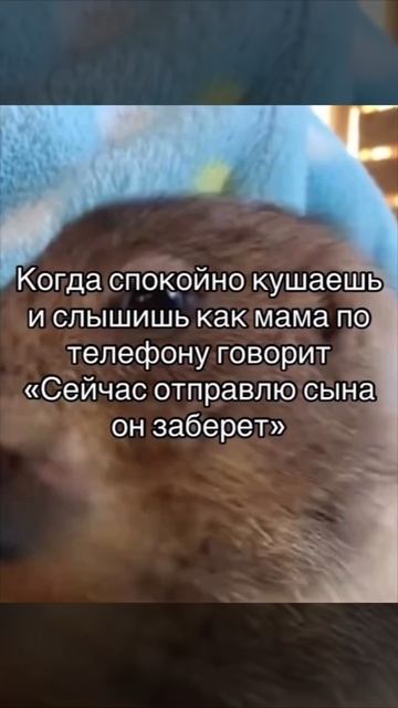 И ты понимаешь что у тебя нет выбора