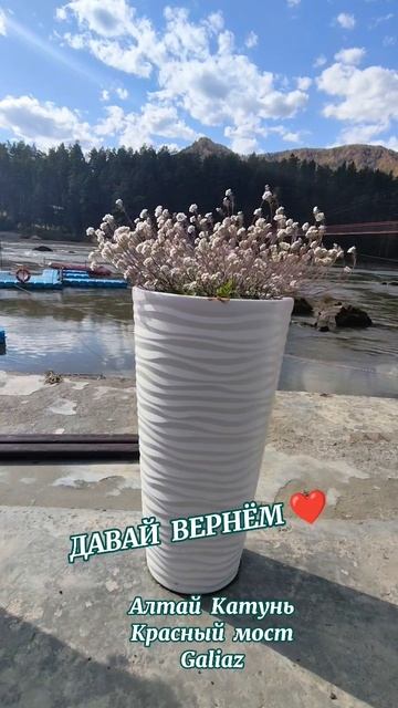 Давай вернём... Алтай Катунь Царская охота