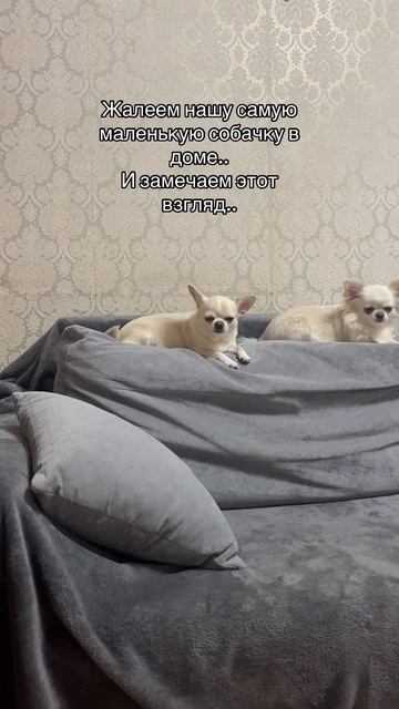 Как то так..