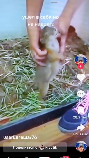 scene_output.mp4