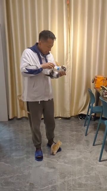Кормилец пришёл 😂
