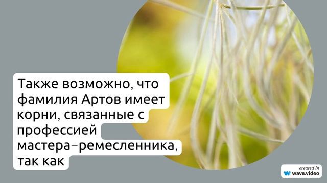 Фамилия Артов: история, происхождение и значения, а также правильное склонение в разных падежах