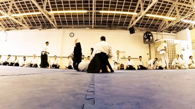 Leonardo Sodré - Jyu Waza - Yokomen Uchi