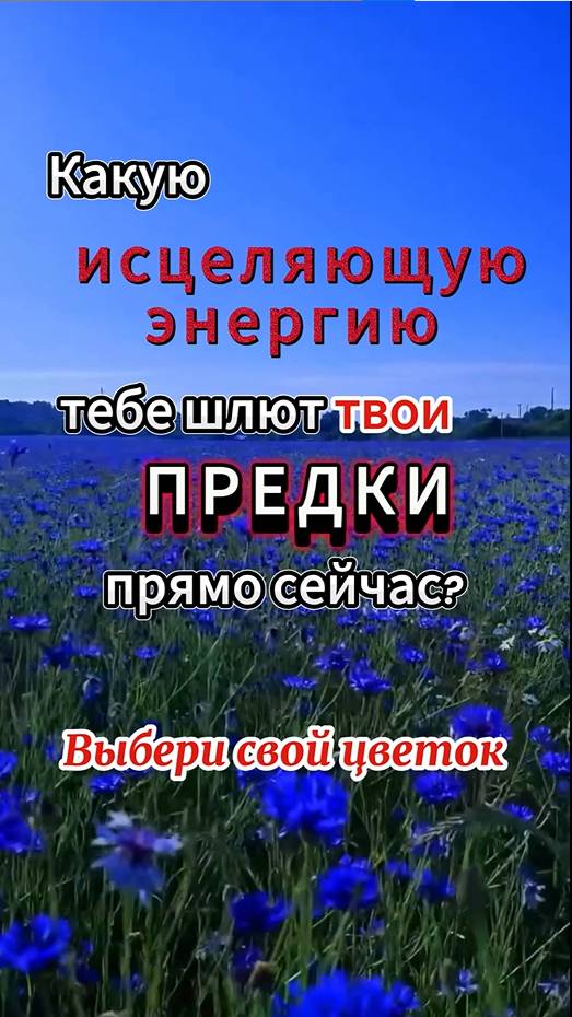 Это послание только для тебя