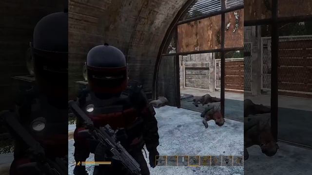 ХАСКИ ВЕРНУЛСЯ С ОХОТЫ #stalker #игры #дейз #dayz #gaming #shorts #сталкер #funny #survival #hunting