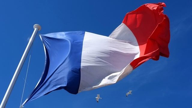 В, Совфеде предложили закончить, налоговый эксперимент, для, самозанятых в, две тысячи двадцать, шес